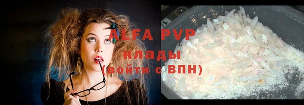 твердый Абаза