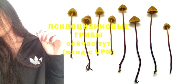 гидропоника Абинск