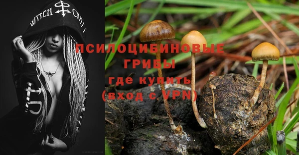 мдпв Абдулино