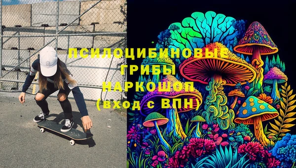 твердый Абаза