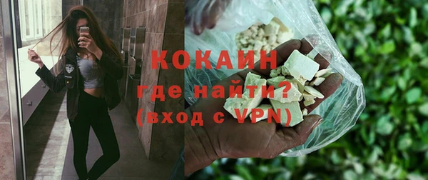 твердый Абаза